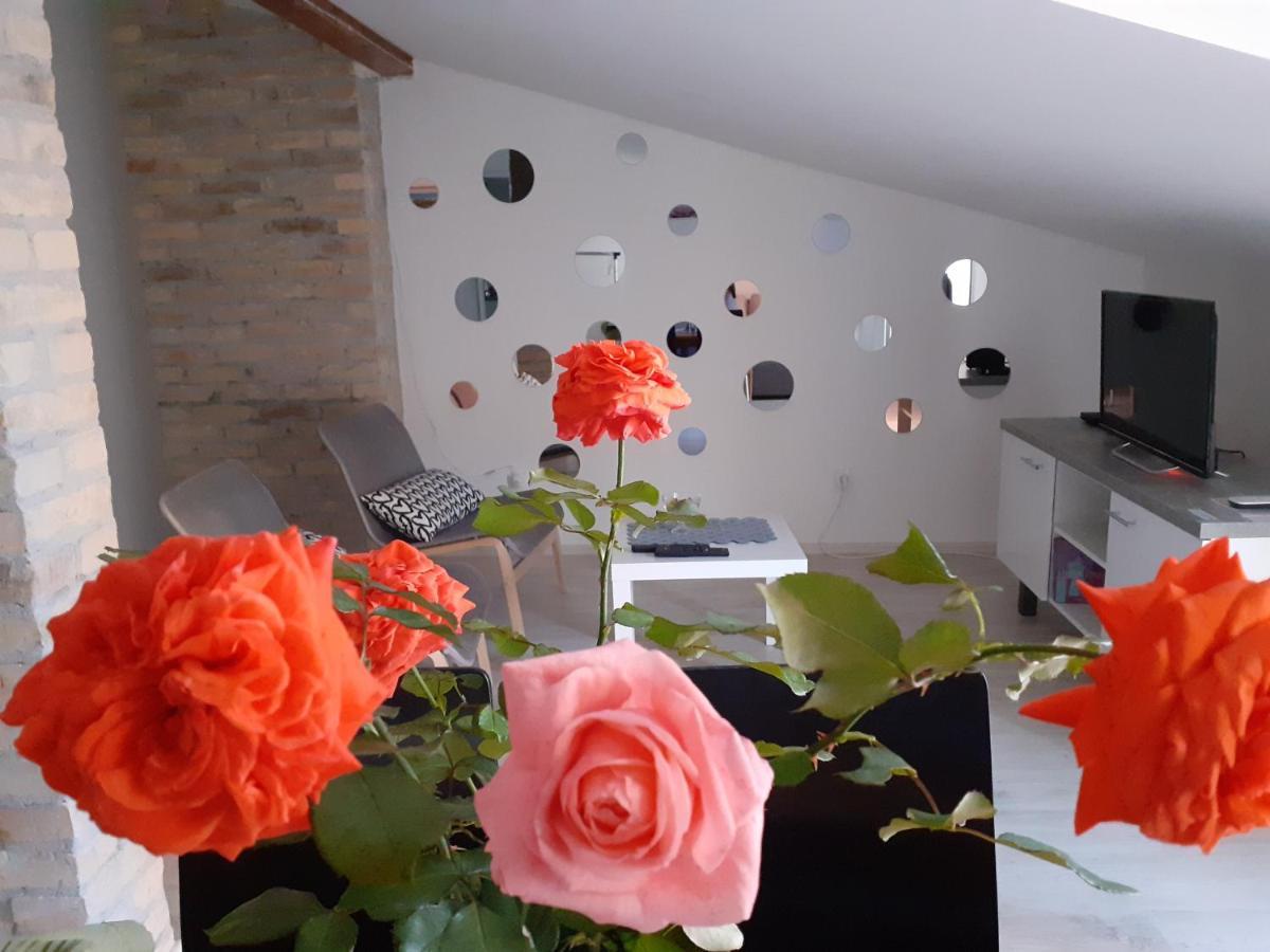 Appartement Flora Novi Sad Extérieur photo