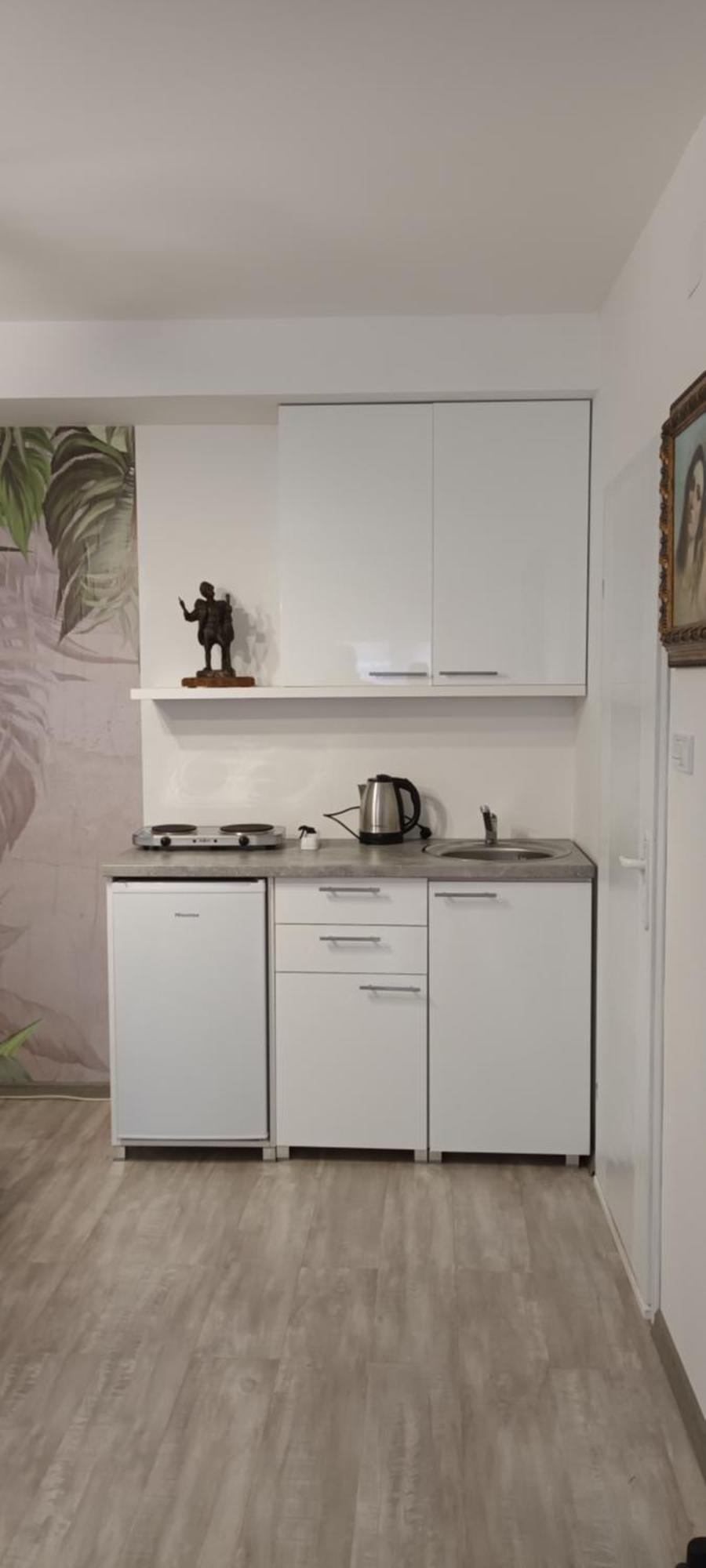 Appartement Flora Novi Sad Extérieur photo